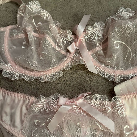 NWOT Elegant Pink Lace Lingerie Set by Woman Temptations. Bra 42C, Panties XXL - Picture 2 of 6